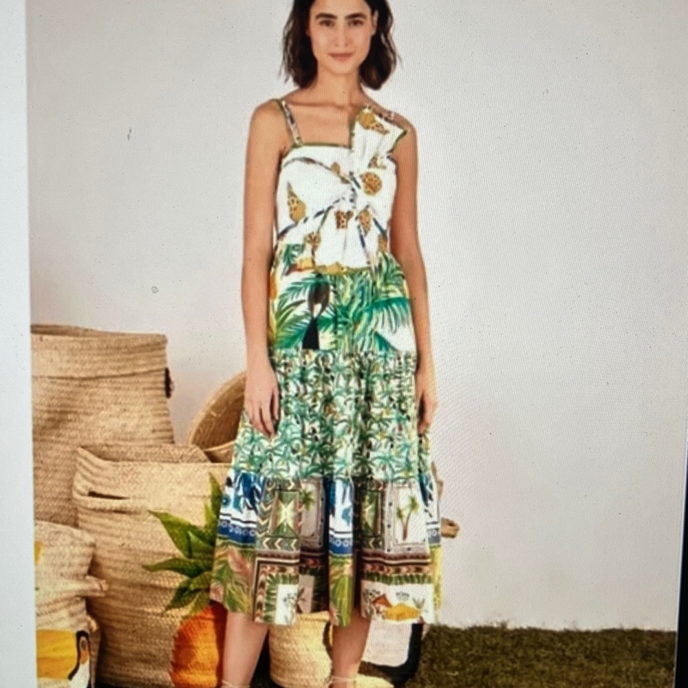 NWOT Farm Rio Midi Dress Large